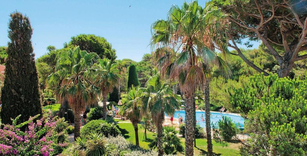 הייר Badine Beach 5P Plage Piscine Balneo Clim Jardin Exotique מראה חיצוני תמונה